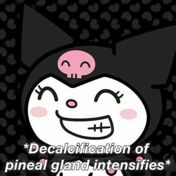 Meet your Posher, Daniel - Picture 1 of 1